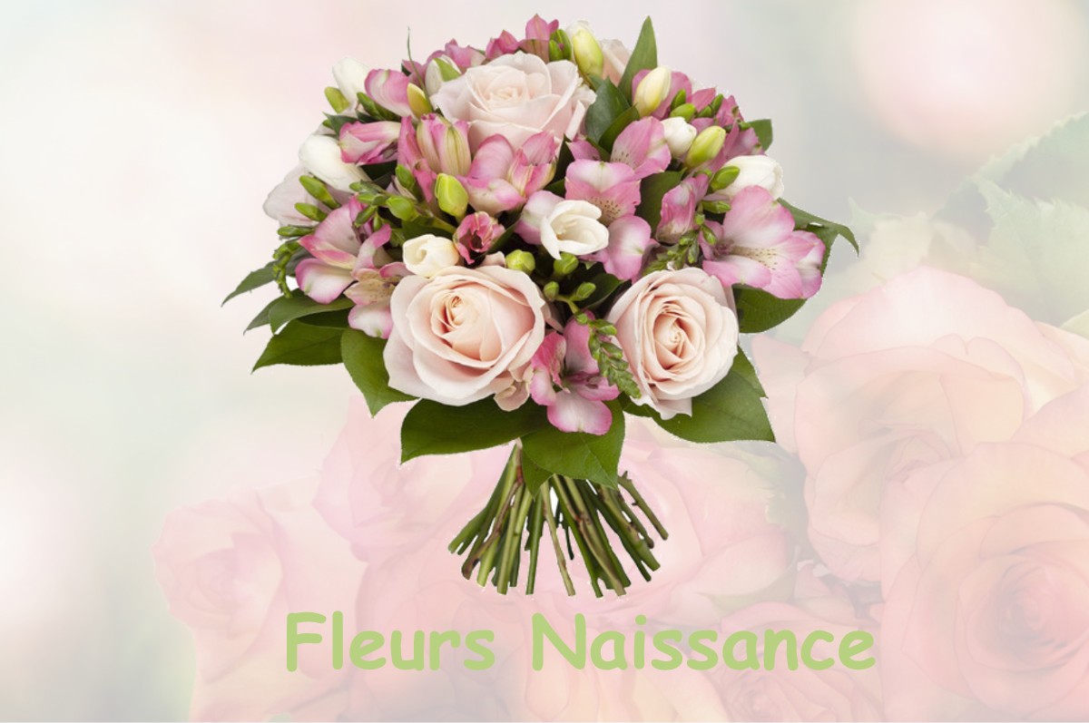 fleurs naissance VILLERS-FARLAY