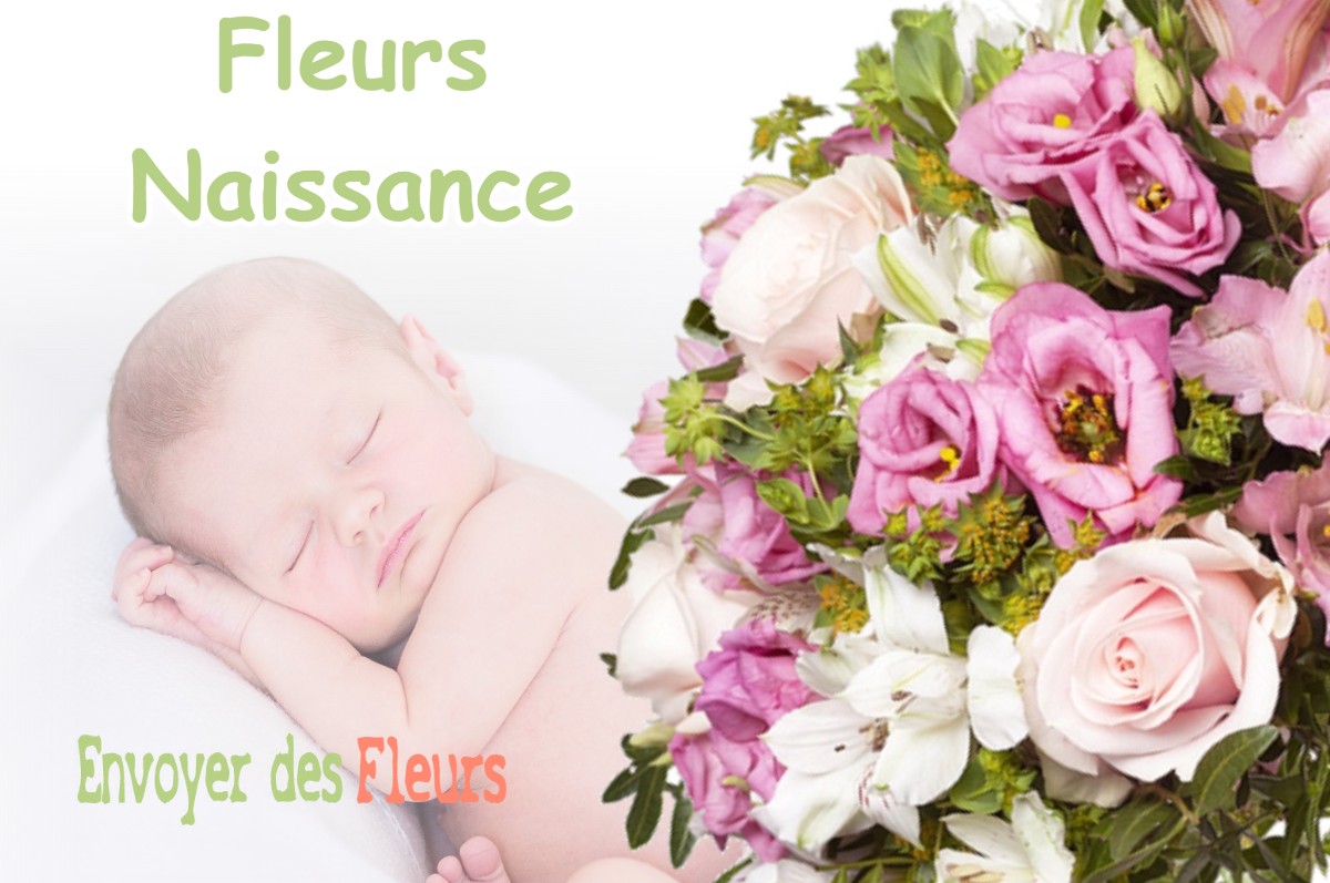 lIVRAISON FLEURS NAISSANCE à VILLERS-FARLAY